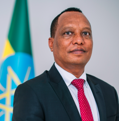 Alemu Sime Feyisa, Minister of Transport and Logistics, Federal Democratic Republic of Ethiopia