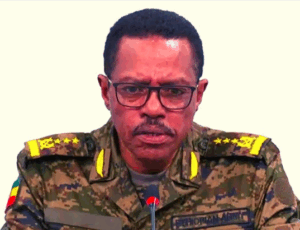 Image of Bacha Debele