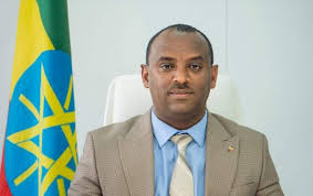Image of Mohamed Edris, Minister of Peace, Federal Democratic Republic of Ethiopia